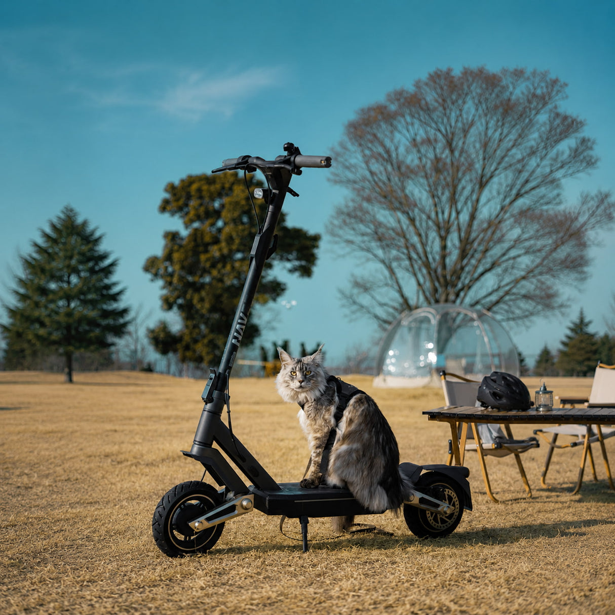 NAVEE ST3 Pro Electric Scooter